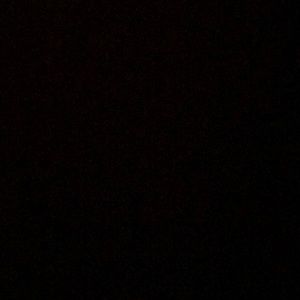 Meet your Posher, Noah